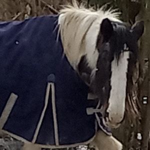 Meet your Posher, Rt